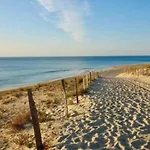 Zecamping 4 Familial Animaux Acceptes Familial Piscine Couverte Campingplads Aureilhan (Landes)