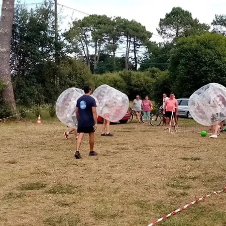 Camping Zecamping 4 Familial Animaux Acceptés Familial Piscine Couverte Aureilhan (Landes)