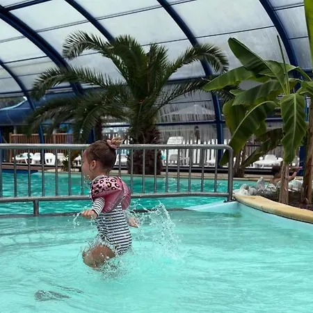 Zecamping 4 Familial Animaux Acceptés Familial Piscine Couverte Camping Aureilhan (Landes)