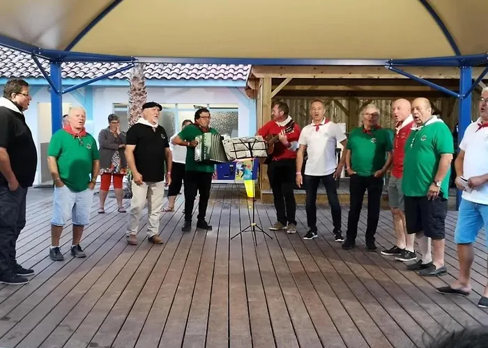 4 Etoiles - Piscine - Eecaad Aureilhan (Landes)