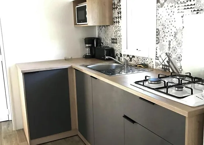 4 Etoiles - Piscine - Eecaad Aureilhan (Landes)